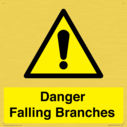 danger-falling-branches~